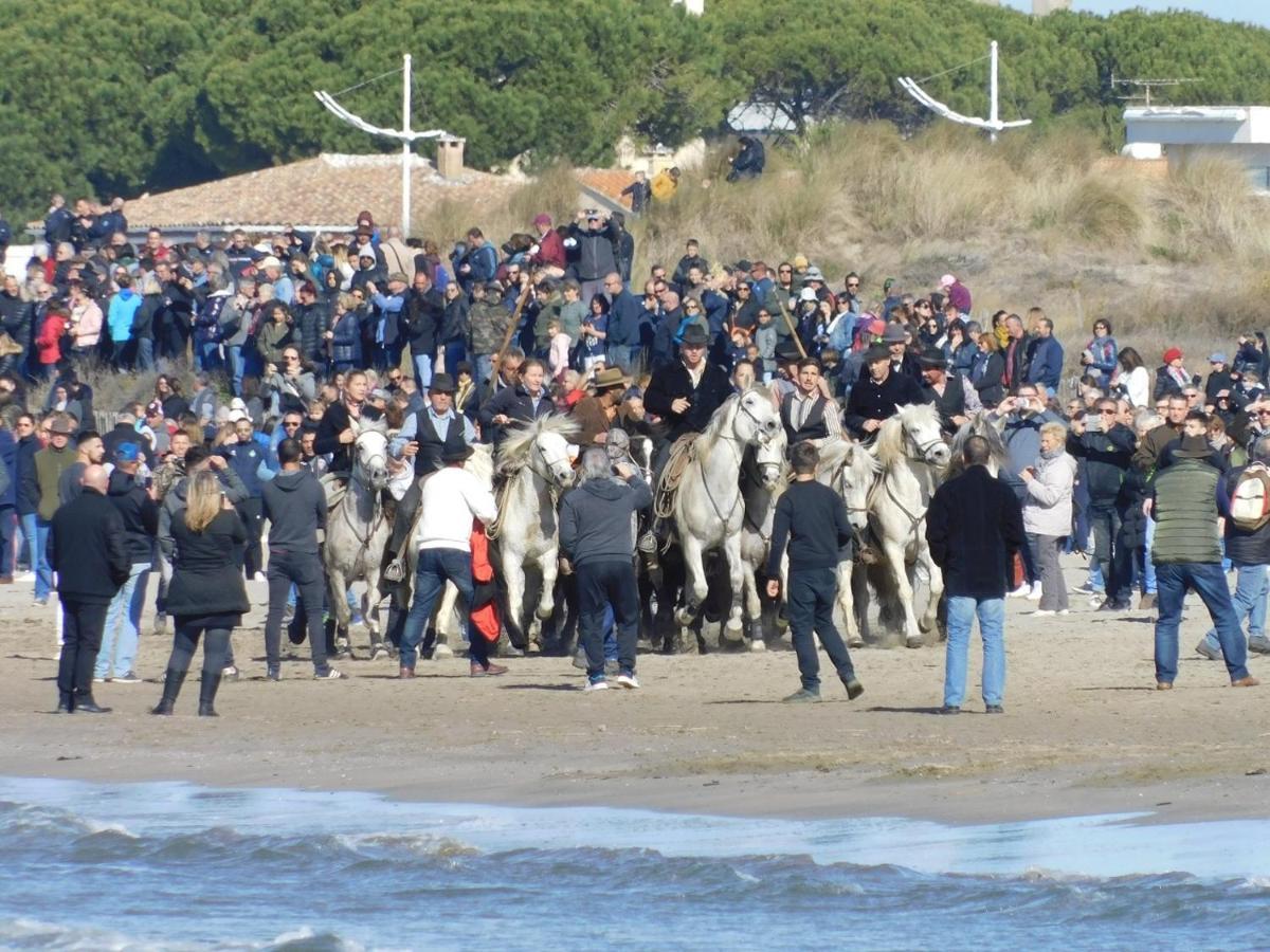 Studio Climatise 1 A 4 Personnes Vue Mer Le Grau-du-Roi Dış mekan fotoğraf